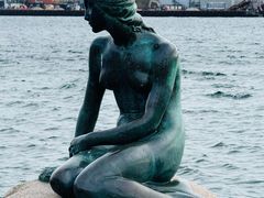 -美人鱼