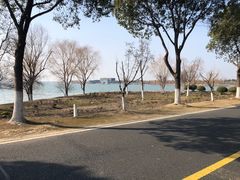 -漕湖湿地公园