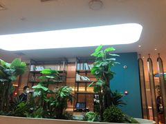 -悦海·家宴·冰花皮皮虾大锅贴(宝龙店)