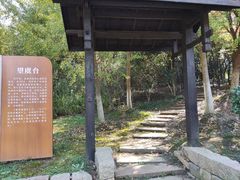 -梁鸿国家湿地公园