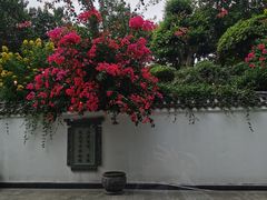 -梅园国际大酒店·自助餐厅(光明港店)