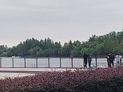 -云里小坐·小院里·团建·宴请·下午茶(三圣乡店)