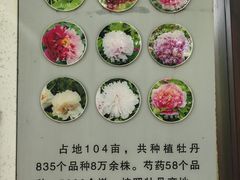 -洛阳市隋唐城遗址植物园