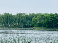 -东郊湿地公园