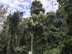 -孔雀湖生态旅游区