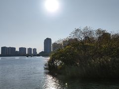 -广东花都湖国家湿地公园
