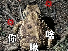 -浙江安吉JW万豪酒店
