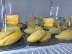 -榴莲BB 四季果园