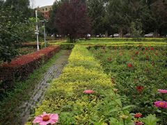 -吉林大学前卫校区南区-日新楼