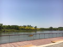 -东郊湿地公园