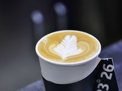 莫扎特拿铁-2326 Coffee Roaster咖啡豆可选店(林肯公园店)