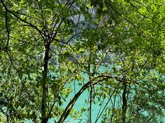 -三峡人家风景区