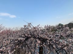 -白塘生态植物园