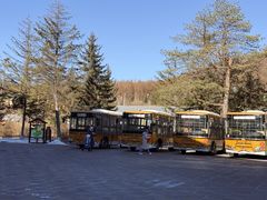 -横道河子东北虎林园