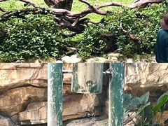 -广州长隆野生动物世界