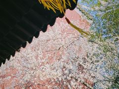-钱王祠