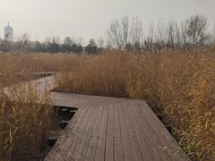 -永定河休闲森林公园