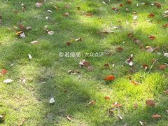 -后襄河公园