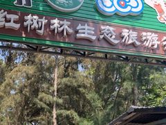 -北海金海湾红树林生态旅游区