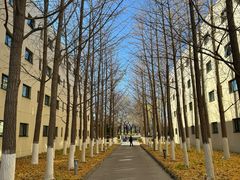 -北京国家会计学院