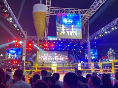 -第35届青岛国际啤酒节