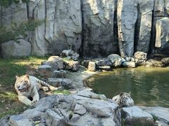 -北京野生动物园