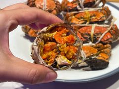 -杨氏青龙虾·羊蝎子(托乐嘉店)