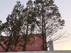 -大学城夜市