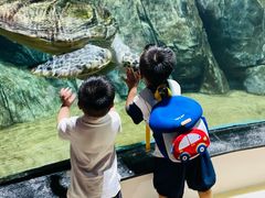 -福州罗源湾海洋世界旅游区