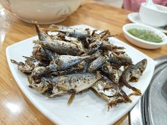 -力哥地道海南菜·联谊文昌鸡老店