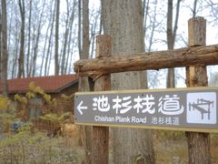 -池杉湖湿地公园