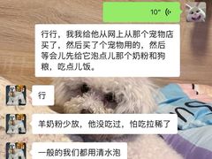 -中环花鸟鱼虫市场