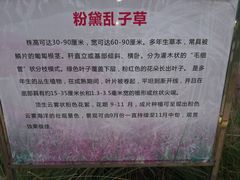 -艾溪湖湿地公园