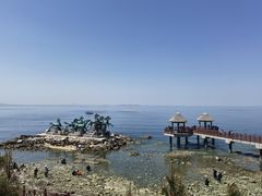 -养马岛旅游度假区