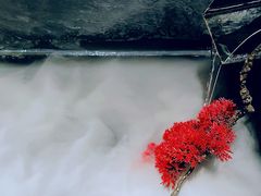 -三利音·玖弄小鲜(浦东嘉里城店)