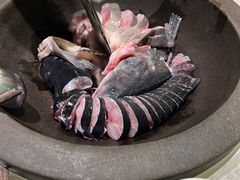 -鲜潭蒸汽石锅鱼(五道口购物中心店)