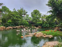 -珠海长隆海洋王国