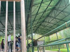 -秦皇岛野生动物园