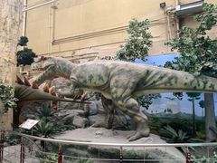 -国家自然博物馆