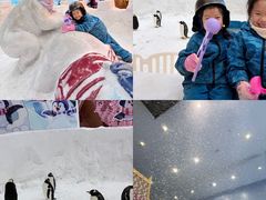 -广州热雪奇迹