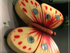 -上海昆虫博物馆