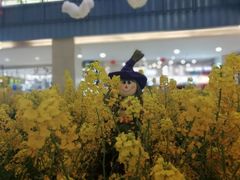 -天虹购物中心(石路店)