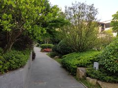 -上海崇明金茂凯悦酒店