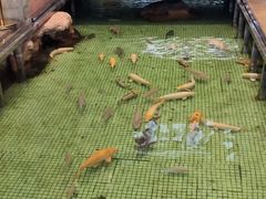 -金河半岛园林酒家(金融城店)