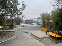 -上海崇明金茂凯悦酒店