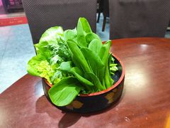 -菌之家·专业纯野生菌火锅·特色炒菌