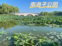 -南海子公园