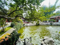 -碑林公园
