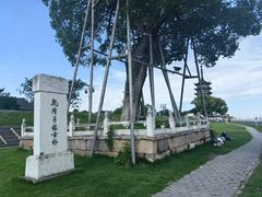 -观潮胜地公园