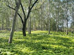 -森林公园(尖草坪区)